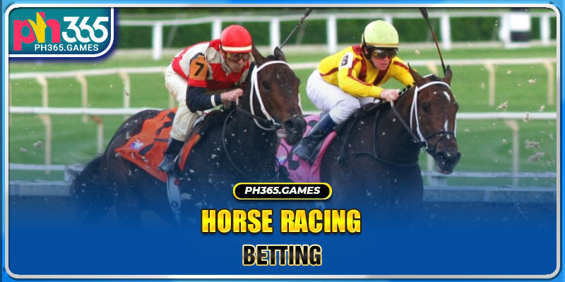Horse racing betting