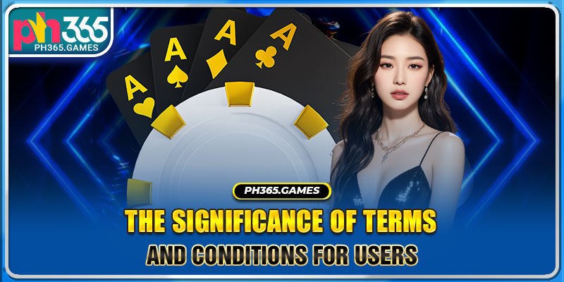 The significance of terms and conditions for users